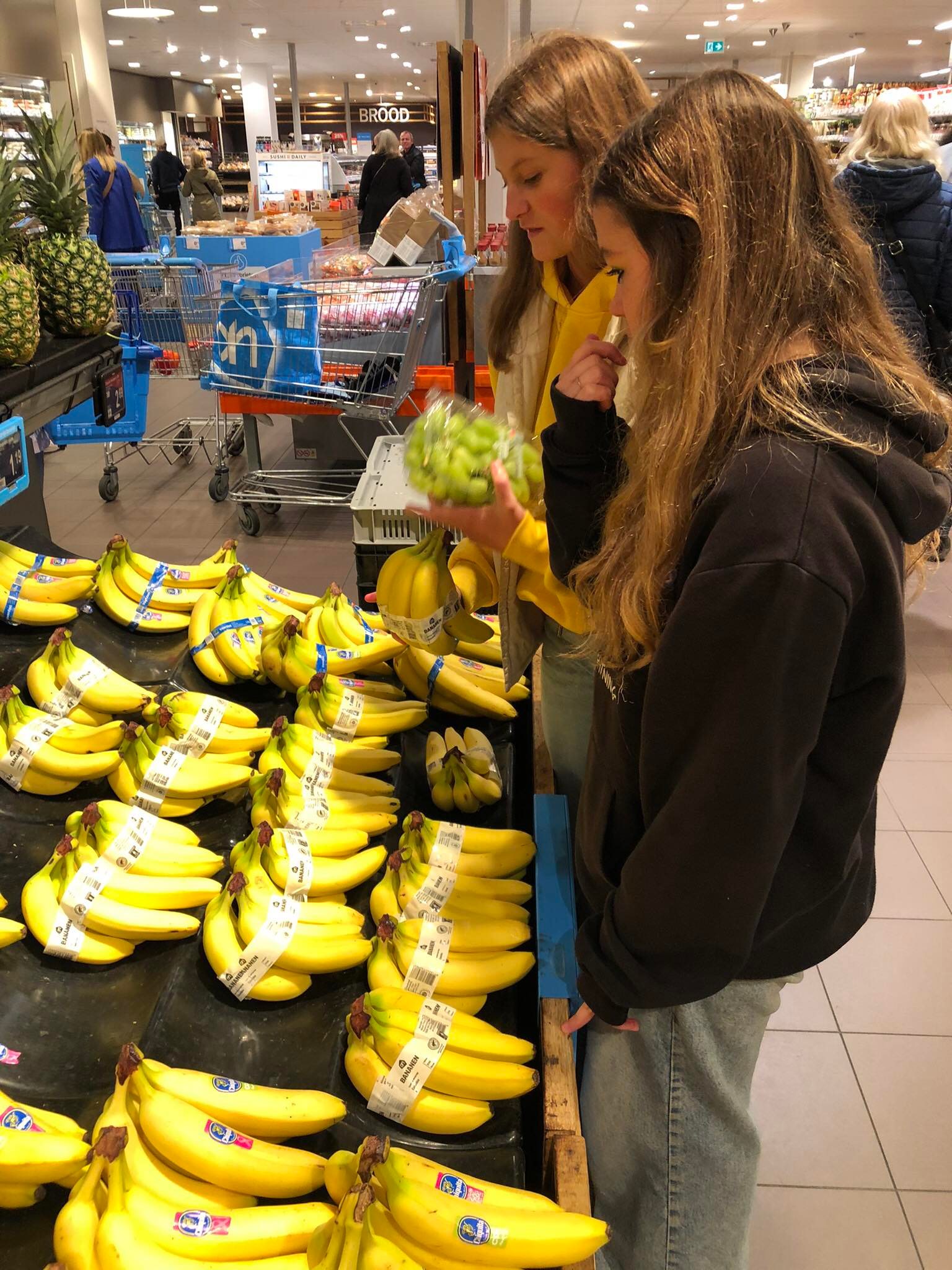 311510349_1241259373400333_8370688772444371227_n