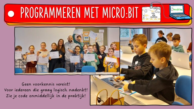 Programmeren met micro:bit